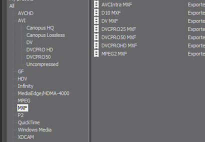 Comprehensive Video Format Support